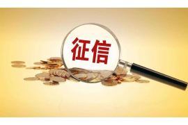 来安为什么选择专业追讨公司来处理您的债务纠纷？